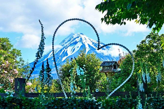 Taranaki Garden Spectacular. The region of Taranaki has 13 gardens of international significance, due to the rich volcanic soil and microclimate of the region.