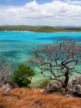 Torres Strait Islands and the remote Reef