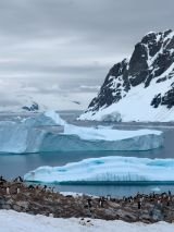 All-inclusive Antarctic Circle Expedition with return flights from Australia