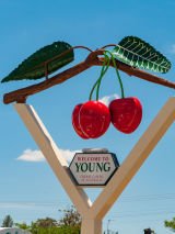 Young's Cherry Festival and Beyond 2022