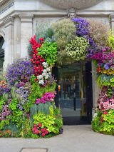 Iconic Gardens, History & Birdlife of the United Kingdom