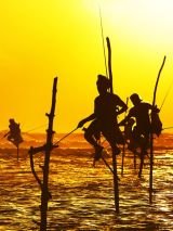 Sri Lanka Pearl of the Indian Ocean