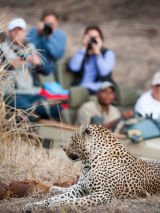 Deluxe South Africa Safari