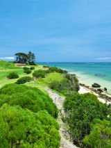 Lord Howe Island Gardens, Tropical Plants, Birdlife and Nature Walks