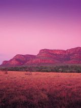 Outback South Australia Kangaroo Island