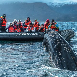 Patagonia: The last wilderness