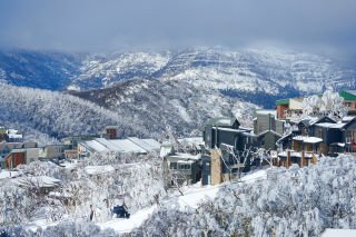 Mount Buller