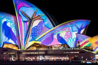 Sydney Vivid Festival