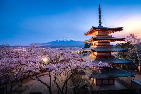 Journey Through Japan

13 days  |  From $10,997 p.p. 